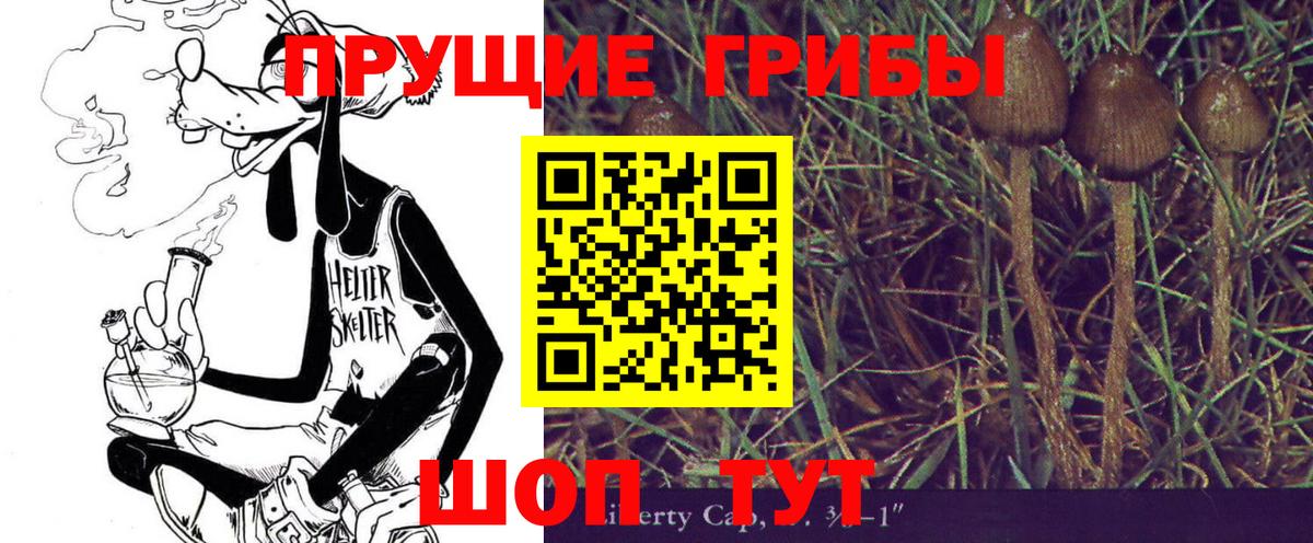 Галлюциногенные грибы Cubensis  Вход с VPN  Галлюциногенные грибы Psilocybe  Домодедово 